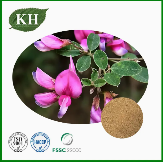 Натуральный экстракт леспедезы головчатой ​​с 0,2% 0,4% кемпферитрина