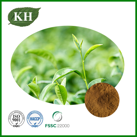 Green Tea Extract.jpg