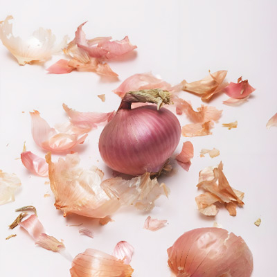 onion.jpg