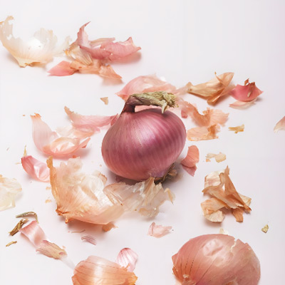 лук