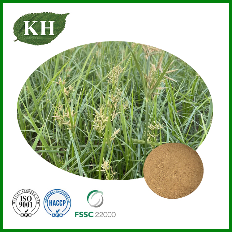 Экстракт Cyperus rotundus