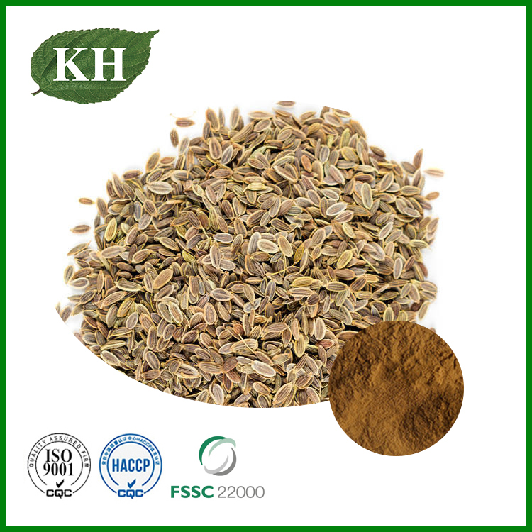 Dill Seed Extract.jpg