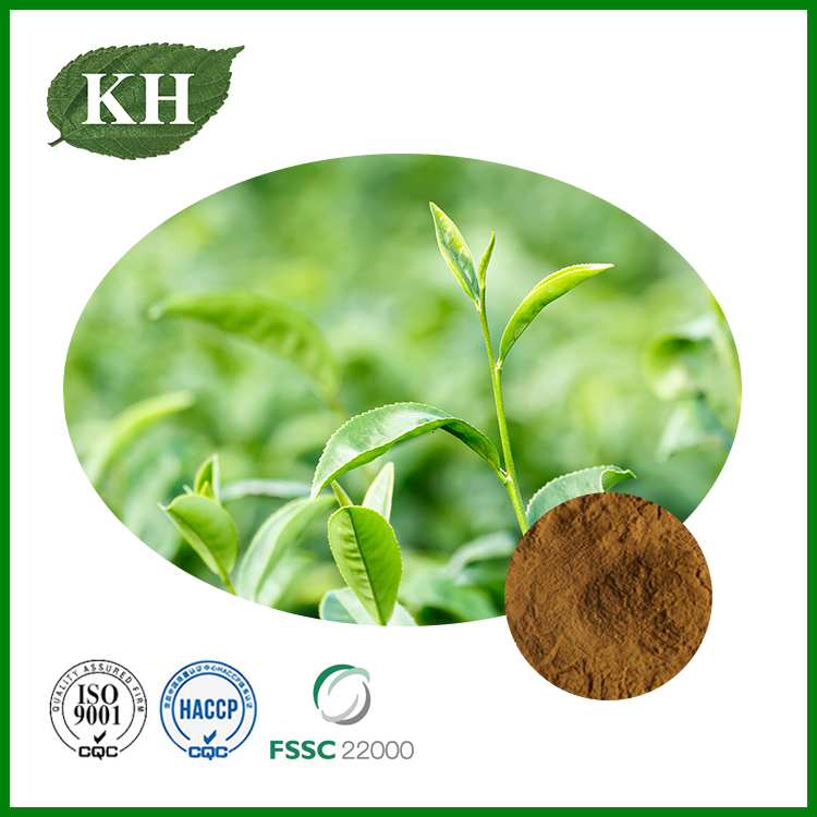 Экстракт зеленого чая (1)